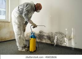 Biohazard Mold Removal in Clearlake, CA